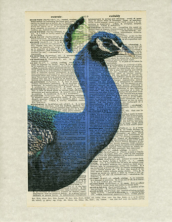 Peacock Photograph printed on Vintage Dictionary Page