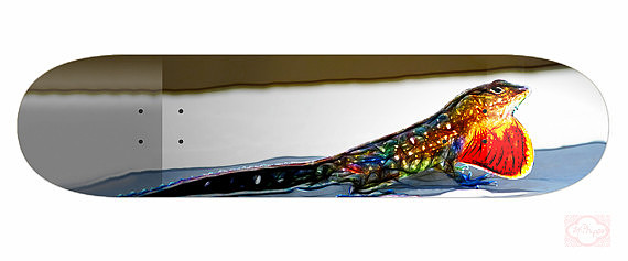 Electric Lizard