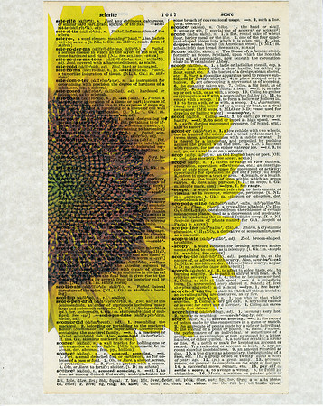 Sunflower Photograph on Vintage Dictionary Page