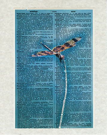 Dragonfly Dictionary Art Print