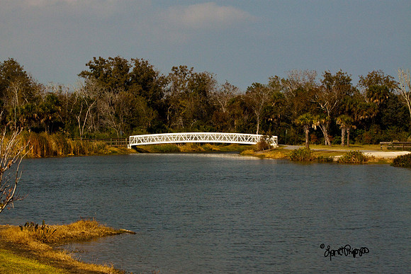 Florida Autumn