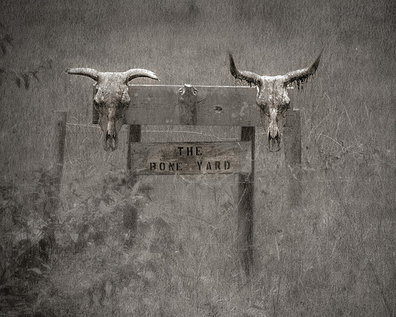 Boneyard