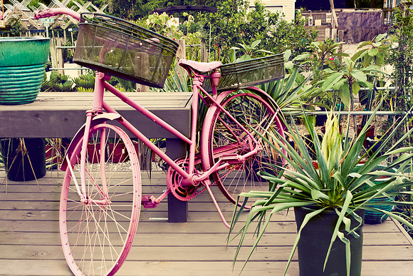 Pink Pedals