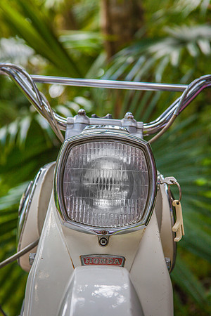 Honda Scooter