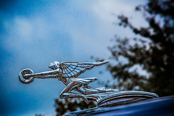 1932 Packard Hood Ornament