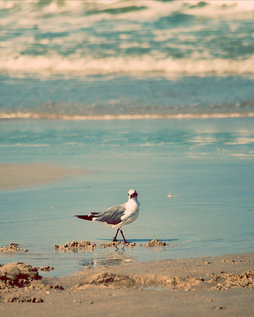 Jonathon on the Beach